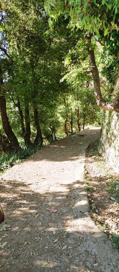Raahi Cottages Mukteshwar Exterior foto